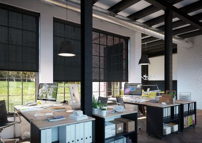 Rullegardiner, SG 4930, Versascreen 1-10%